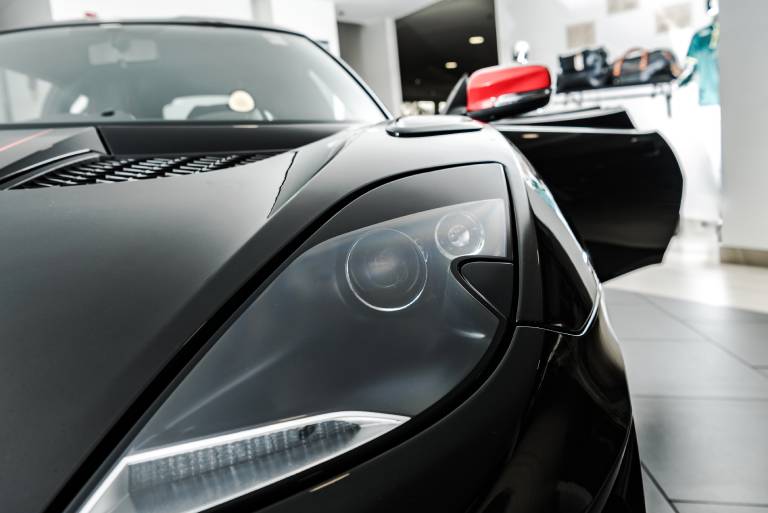 exotics-6