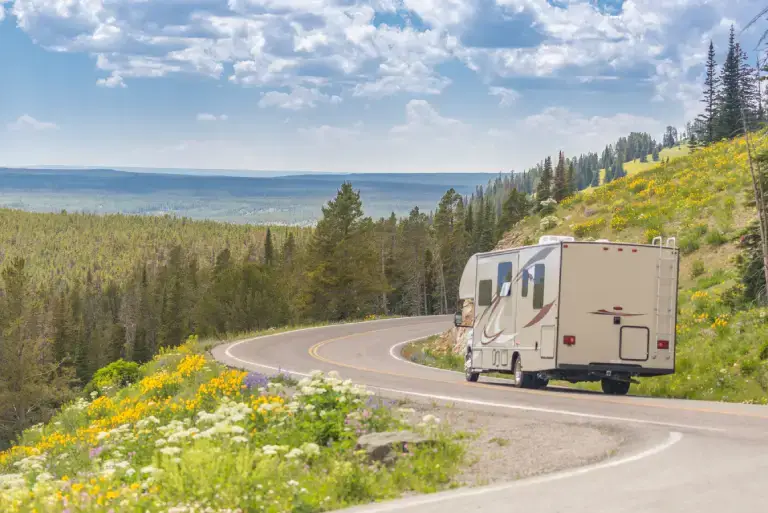 A recreational vehicle (RV) driving along a winding mountain road bordered by yellow wildflowers and pine trees, overlooking a wide forested valley under a partly cloudy blue sky.